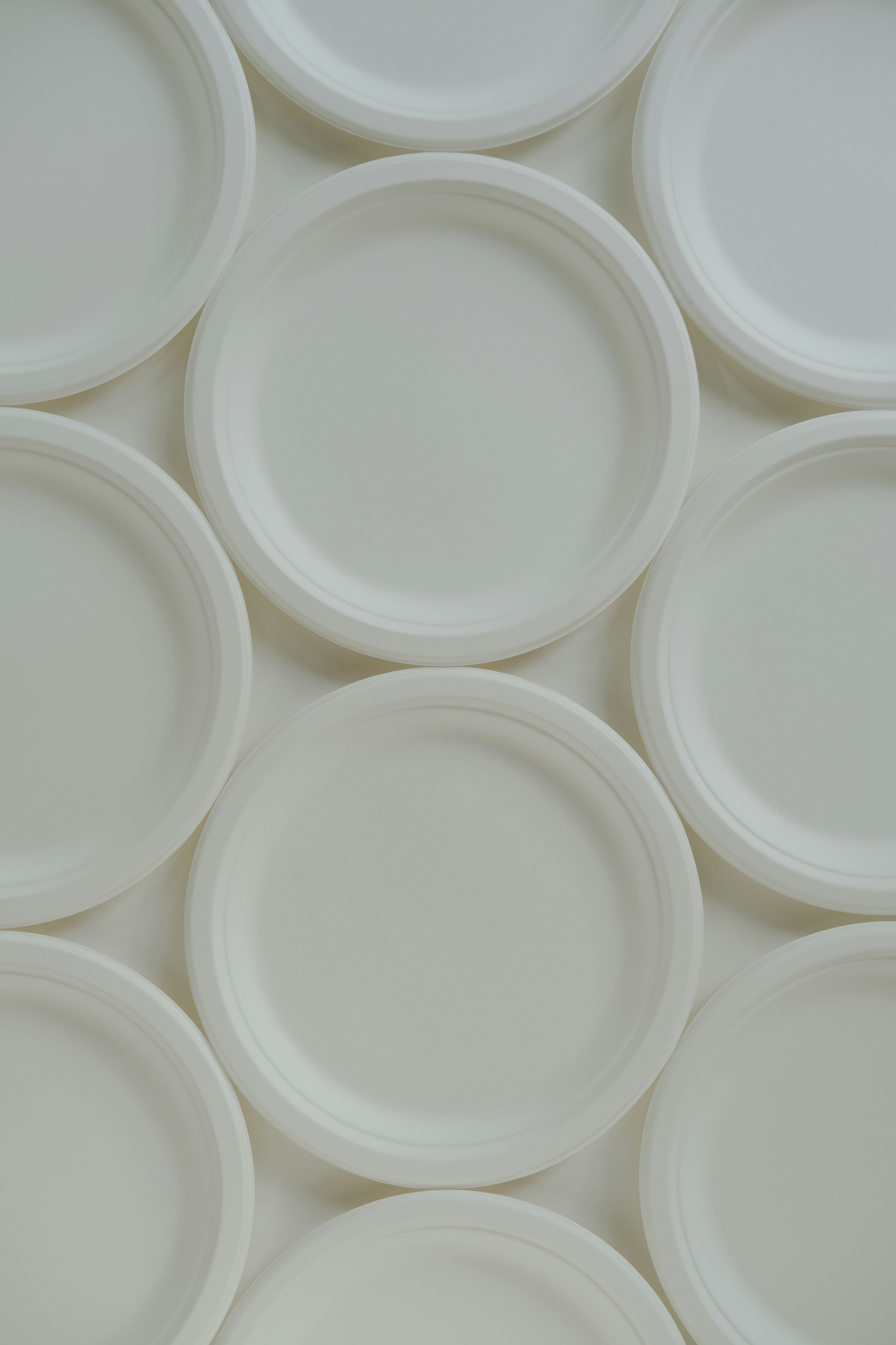 White disposable paper plates