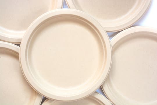 Paper Plate 10"